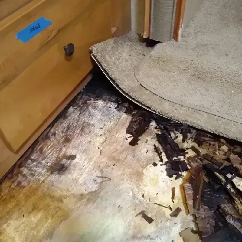 Best Wood Floor Water Damage Service in New Albany, IN